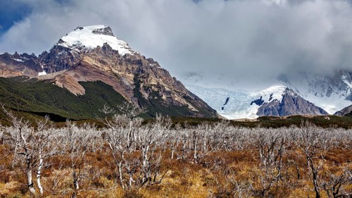 Mountain landscape with snow-covered peaks and a cloud cover over thorny bushes, The Patagonian