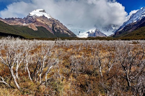 View of snow-capped mountains under dramatic clouds over a wild plain with shrubs, The Patagonian