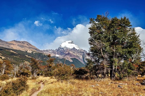 Snowy mountain peak behind a forest and a small path in clear weather, The landscape of Patagonia