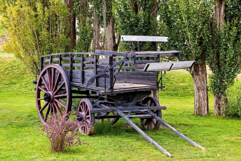 An old wooden wagon with flowers in the foreground under trees, Historic horse-drawn wagon or