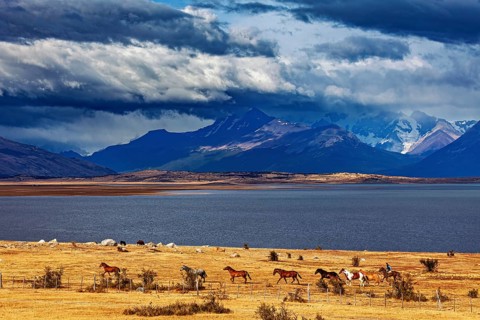 Imposing mountain scenery with a herd of horses by the lake under a dramatic sky, A gaucho with his
