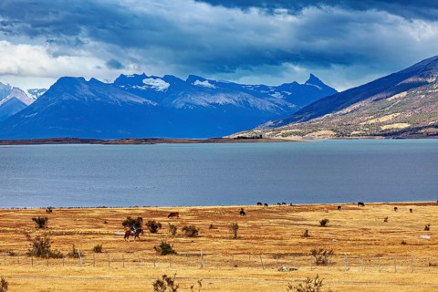 A vast landscape with a lake and distant mountains under a cloudy sky, The Patagonian landscape