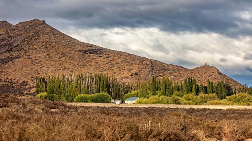 Hilly landscape with trees and clouds adding to the dramatic atmosphere, The Patagonian landscape