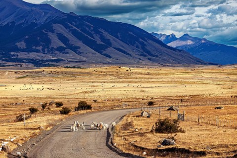 A vast landscape with mountains in the background and a road where sheep can be seen, A herd of
