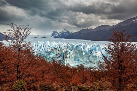 A glacier in a dramatic landscape with autumn trees and dark clouds over the mountains in the