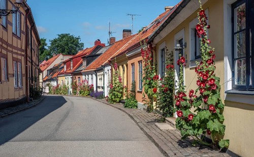 Hollyhocks (Alcea rosea) at houses in a small street in the idyllic downtown of Ystad, Skåne