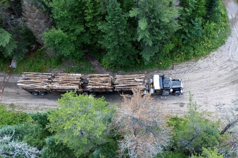 Heavy hauler transporting timber, Region of La Mauricie, Province of Quebec, Canada, North America