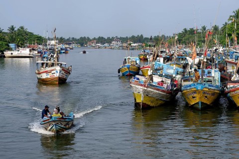 Fishing boats in Negombo river harbor, Sri Lanka