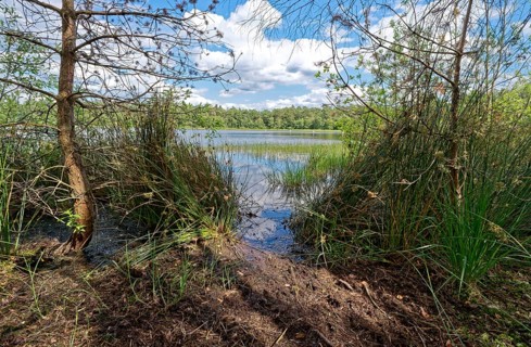 The Bullensee is located in a moorland area and is part of the Bullensee and Hemelsmoor nature