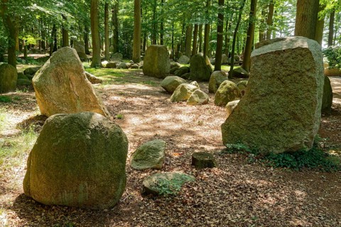 Erratic blocks in the Neuenknick erratic block forest in the Teutoburg Forest. Around 2000 of the