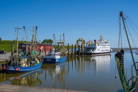 Fishing boats in the harbour of Tammensiel, Pellworm Island, North Frisia, North Sea, North Frisia,
