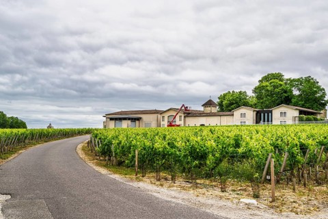 Vineyard of Chateau Pichon Longueville Baron Vineyard and grape fields around Pauillac, Bordeaux,