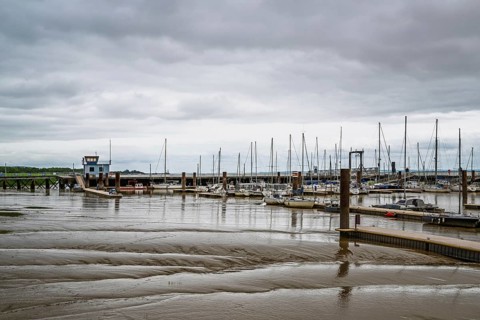 Pauillac, Gironde Estuary, Bordeaux, Gironde, Nouvelle-Aquitaine, France