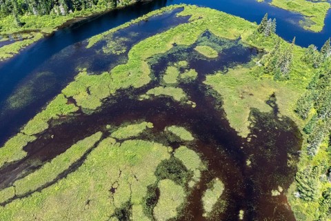 Lake and islands with vegetation, Boreal forest, Mastigouche wildlife reserve, Region of La