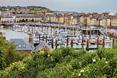 Harbour with numerous boats, surrounding city buildings and green vegetation in the foreground, The