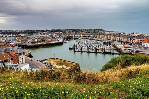 Panoramic view of a harbour town with many boats and green plants in the foreground under a grey