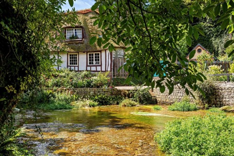 Half-timbered house by a stream, surrounded by dense, green vegetation and a quiet village charm,