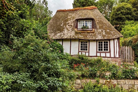 Thatched half-timbered house surrounded by dense vegetation in a rural setting, the historic mill