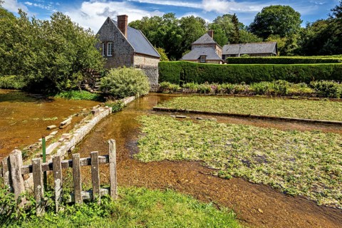 Rural scene with brick house and moat, surrounded by lush vegetation in summer, The historic mill