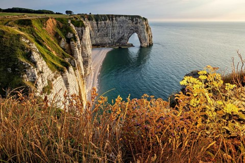 Coastline with majestic cliffs and natural rock arches surrounded by flowering plants, The cliffs