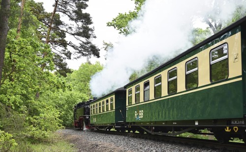 The Raging Roland, narrow-gauge railway, on Rügen, Mecklenburg-Vorpommern, Germany