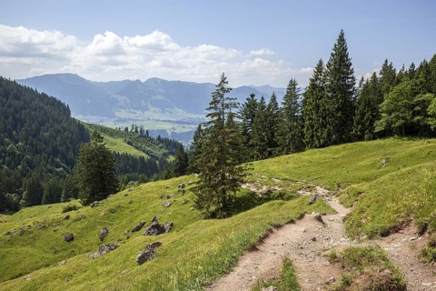 Hiking trail from the Gaißalpe to Unterer Gaißalpsee, at the back of the Illertal, near Oberstdorf,