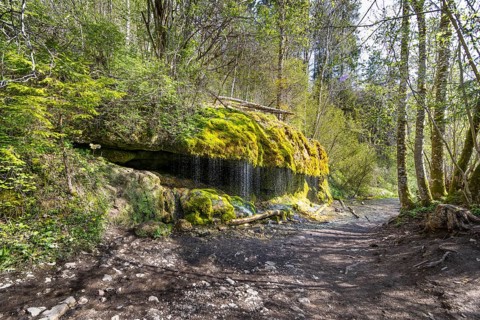 Dietfurt Waterfall, a moss waterfall in the Wutach Gorge, Black Forest, Baden-Württemberg, Germany