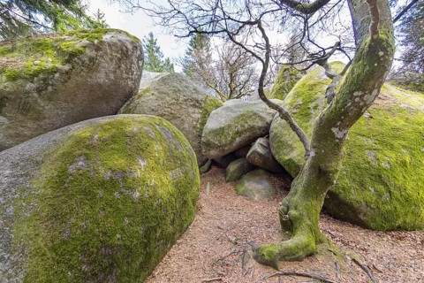 Granite rock Günterfelsen near the source of the Danube, Furtwangen in the Black Forest,