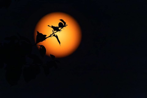 Full moon, (super moon) Münsterland, North Rhine-Westphalia
