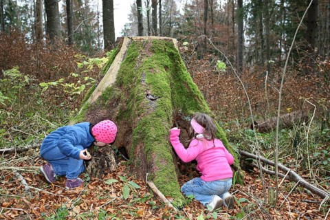 Girls discovering nature, children in nature, love of nature, Allgäu, Bavaria, Germany, Allgäu,