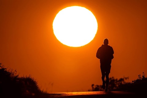 A jogger runs at sunrise on a country lane near Frankfurt am Main, Frankfurt am Main, Hesse,