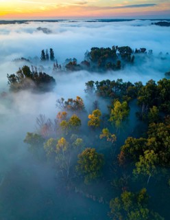 Mystical foggy landscape in autumn, colorful forest with fog in an aerial drone view, AI generated