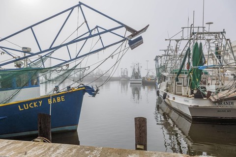 Commercial shrimp boats at the dock in the commercial area of the Biloxi Small Craft Harbor in