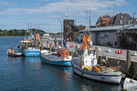 Fishing boats in the harbour, Eckernförde, Baltic Sea, Schleswig-Holstein, Germany