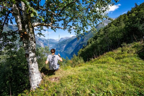 Young man swinging on a tree, view of idyllic fjord landscape of the Geirangerfjord at Blomberg