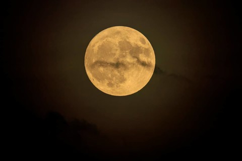 Yellow full moon shines calmly in the nightly darkness, full moon, strawberry moon 2025, Germany