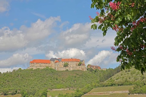 Neuenburg Castle, Freyburg, Romanesque Road, Saxony-Anhalt, Germany