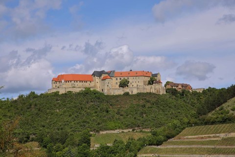Neuenburg Castle with vineyards, Freyburg, Romanesque Road, Saxony-Anhalt, Germany