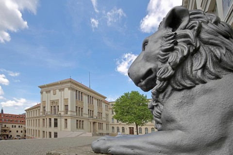 Head of lion figure and historical Melanchtonianum, palace, modern art, sculpture, lion head, lion,