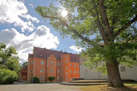 Prince's house backlit by the former Cistercian abbey, Schulpforte, Pforta State School, Bad Kösen,