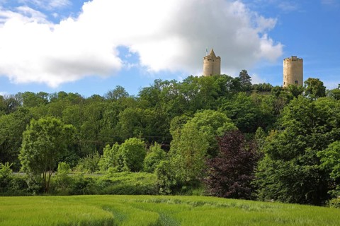 Castle with towers in the forest on the hill, Saaleck, Bad Kösen, Saale, Naumburg, Saxony-Anhalt,