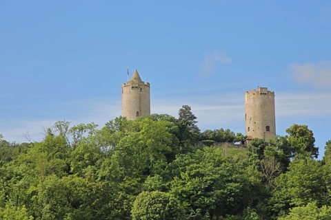 Castle with towers in the forest, Saaleck, Bad Kösen, Saale, Naumburg, Saxony-Anhalt, Germany