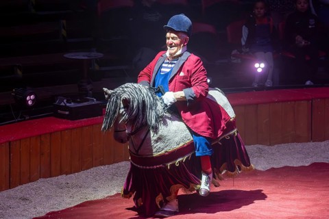 Performance by Circus Barelli in Mannheim***Picture: Pieric, the clown from France