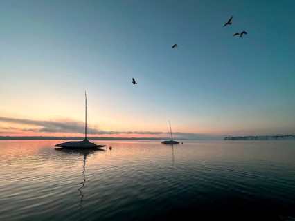Evening mood, seagulls, sailing boats on Lake Starnberg, Bavaria, Germany