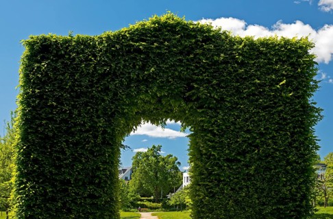 Green Tor Tor in the castle park of Bad Homburg vor der Höhe Castle, Hesse, Germany