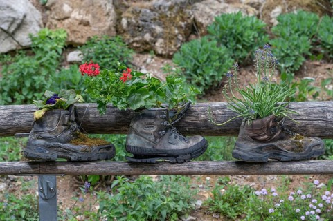 Flowers in worn mountain boots, Bavaria, Germany