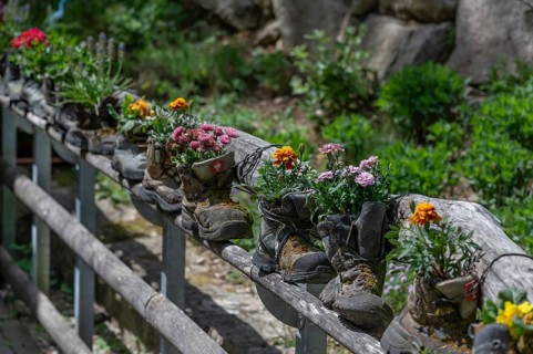 Wooden railing with flowers in worn mountain boots, Bavaria, Germany