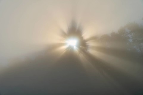 Mystical rays of light break through the fog and create a calming atmosphere, Mönchberg,