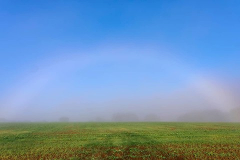 An arc of fog appears over a misty field radiating a calm atmosphere, Mönchberg, Miltenberg,