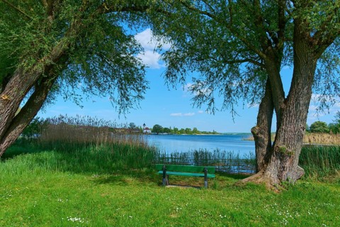 Wooden bench between trees overlooking a lake under a blue sky, Rhodes, Etang du Stock, Sarrebourg,